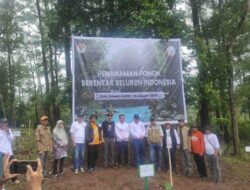 Wapres Ma’ruf Amin Pantau Langsung Pemkab Bone Gelar Gerakan Penanaman Sejuta Pohon