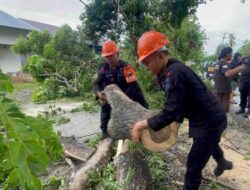 30 Menit, SAR Brimob Bone Berjibaku Pohon Tumbang Macetkan Jalan