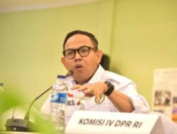 Mentan Sibuk Kampanye Swasembada, Pemerintah Rekor Impor Beras, Andi Akmal Perjuangkan Petani