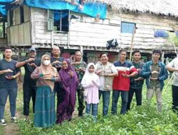 Viral Rumah di Kinibalu Bone Memperihatinkan: Baznas Bone, TDA, Marennu, dan Kodim Bantu Janda