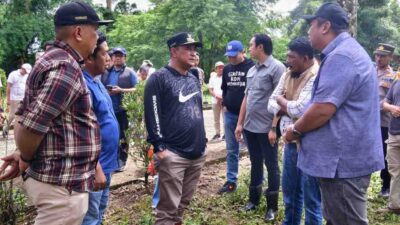 Mahasiswa Unsulbar Ramai-ramai Tanam Sukun di Pucak Maros, Pj Gubernur Jadi Saksi