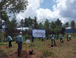 Rehabilitasi DAS di Toraja, PT Vale Gandeng Unhas Tanam 424 Ribu Bibit Pohon