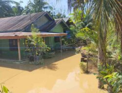 Bireun Diterjang Banjir, 3.458 Rumah Terendam, 1.199 Warga Mengungsi