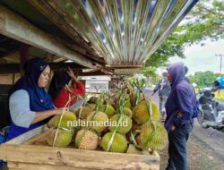 Menikmati Legitnya Durian Asli Tonra Bone