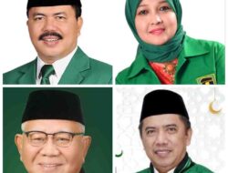 Kans PPP Satu Kursi DPR Dapil Sulsel II, Posisi Aras Terancam