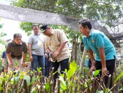 Kelompok Tani Desa Samaenre Pembibitan 100 Ribu Sukun, Pj Gubernur Sulsel Kepincut