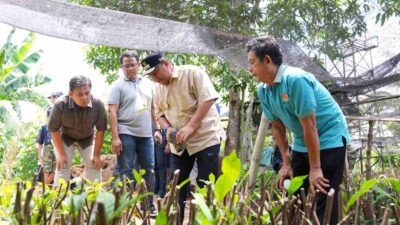 Kelompok Tani Desa Samaenre Pembibitan 100 Ribu Sukun, Pj Gubernur Sulsel Kepincut