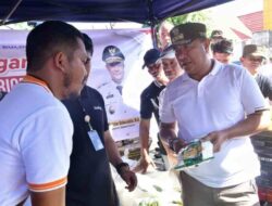 Soal Stok Beras, Pj Gubernur Sulsel Pastikan Aman Sampai Juni 2024