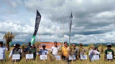 Pakai Pupuk Trubus, Petani di Kampung Mentan Kaget, Hasil Panen 7,3 Ton Per Hektare