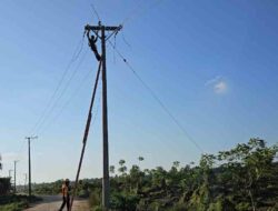 PLN Terangi 80 Dusun Terpencil di Sulbar, 594 Warga Nikmati Listrik 24 Jam