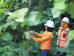 Kunci Sukses PT Vale Raih Penghargaan ASRA 2023