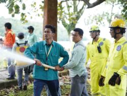 Antisipasi Kebakaran Hutan dan Lahan di Luwu Timur, PT Vale Kolaborasi PPI KLHK