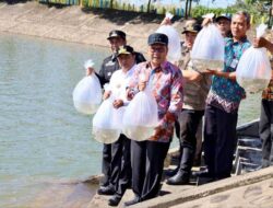 Danny Pomanto Lepas Puluhan Ribu Benih Ikan Air Tawar, Bersama Pj Gubernur Sulsel