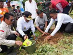 Masyarakat Dukung Penanaman Pohon Serentak Inisiasi Pj Gubernur Bahtiar