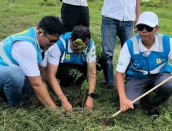 Hari Bumi 2024, PLN Tanam 1.000 Pohon Cinta di Wajo