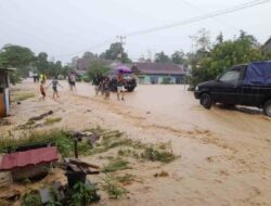 Luwu Diterjang Banjir dan Longsor, 14 Warga Meninggal Dunia