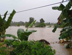 Luwu Banjir dan Longsor, 2.052 Kepala Keluarga Butuh Perhatian