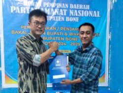 Andi Rio Kantongi Rekomendasi PAN, Tugas Cari Wakil Bupati Bone