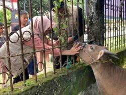 Periksa Hewan Kurban Brimob Bone, Ini Temuan Dinas Peternakan