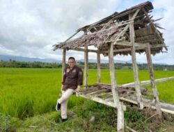 Peduli Petani, Andi Akmal Pasluddin Dorong Bentuk Pansus Dugaan Markup Impor Beras