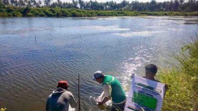 LAZ Hadji Kalla Kembangkan Ikan Nila dan Budidaya Komoditi Timun Hijau