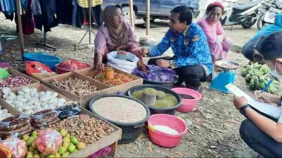 Hasil Pemantauan Dinas Ketapang Bone: Harga Bawang Merah Turun 20 Persen