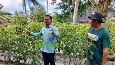 Andi Asman Sulaiman Garap Pemuda Tani Milenial Pacu Hortikultura