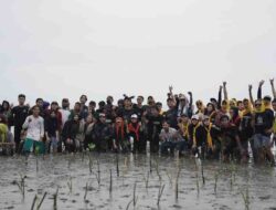 Hari Mangrove Internasional, HIPMI Bone Gaungkan Menanam Mangrove