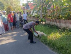 Kasus Pembunuhan Tragis di Tellu Siattinge, Kapolres Bone AKBP Erwin: Tangkap Pelaku