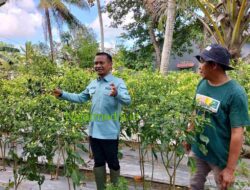 Petani Desa Cabbeng Blak-blakan Soal Andi Asman Sulaiman – Andi Akmal Pasluddin