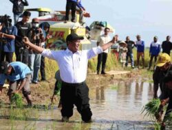 Prabowo Panggil Andi Amran Sulaiman, Petani Doakan Kembali Jadi Mentan