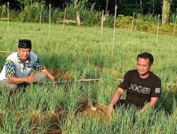 Lampoko Istana Sayur Bone, Andi Asman Sulaiman Aktor Utama