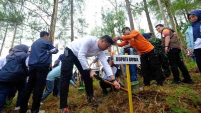 Pemkab Gowa Tanam Pohon di Lahan Kritis, Adnan Kejar Pelaku Perusak Hutan