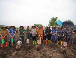 Sasaran Pj Gubernur Prof Fadjry Djufry dan Forkopimda Kompak Tanam Jagung di Jeneponto