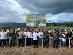 Bupati Andi Asman Sulap 500 Hektar Lahan Pabrik Gula Jadi Jagung di Bone