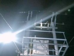 Gara-gara Tikus dan Respons Cepat PLN Bone Atasi Gangguan Listrik