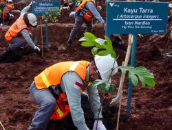 Pesan dari Morowali untuk Bumi: PT Vale IGP Tanam Harapan Lewat Reklamasi Sejak Langkah Pertama
