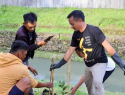Galakkan Sulam Pohon, Bupati Andi Asman Ingin Bone Bersih dan Hijau