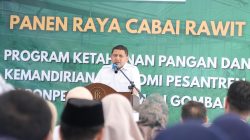 Munafri Panen Raya Cabai Rawit di Pesantren Gombara