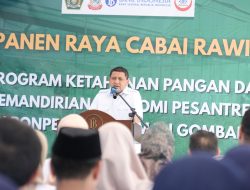 Munafri Panen Raya Cabai Rawit di Pesantren Gombara