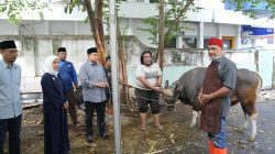 Wali Kota Munafi dan Wawali Aliyah Saksikan Penyembelihan Hewan Kurban Pemkot Makassar
