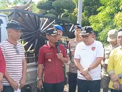 Pemda Bone Kumpulkan 53 Sapi Kurban, Bupati Andi Asman Salurkan untuk Ponpes hingga Daerah Pelosok