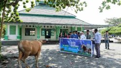 Huabao Indonesia Salurkan CSR Hewan Kurban, Segini Jumlahnya