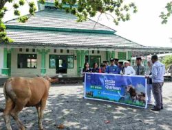 Huabao Indonesia Salurkan CSR Hewan Kurban, Segini Jumlahnya