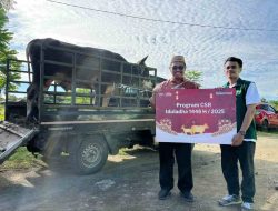 Telkomsel Bagikan CSR 660 Hewan Kurban