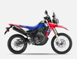 CRF250 Series Curi Perhatian, Bikin Naik Motor Sensasi Petualangan Baru