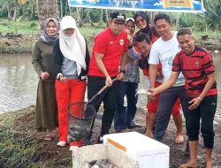 Wabup Bone Andi Akmal Pakai Baju Merah Panen Ikan di Akhir Pekan