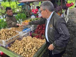 Momen Anggota DPR Taufan Pawe Beli Langsat di Kampung Mentan Andi Amran Sulaiman