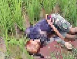 Pria Celana Loreng Ditemukan Meninggal Dunia di Sawah Sailong Bone