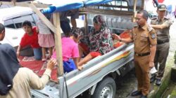 Bupati Andi Asman Temukan Pasien Rawat Jalan RSUD Datu Pancaitana Bone Terbaring Lemas di Bak Mobil Pikap